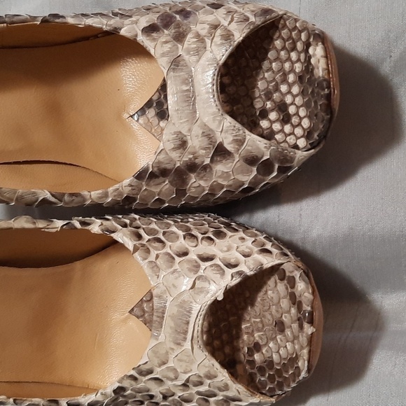 Massimo Dogana Shoes - Picture 6 of 8